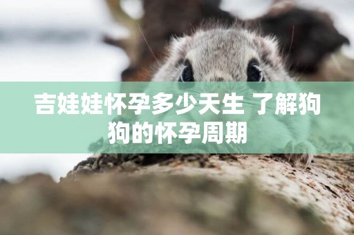 吉娃娃懷孕多少天生 了解狗狗的懷孕周期