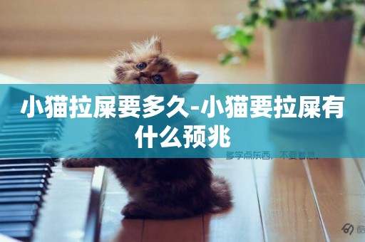 小貓拉屎要多久-小貓要拉屎有什么預兆