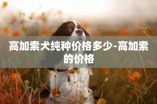高加索犬純種價格多少-高加索的價格