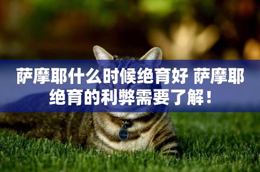 薩摩耶什么時候絕育好 薩摩耶絕育的利弊需要了解！