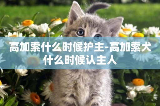 高加索什么時候護主-高加索犬什么時候認主人
