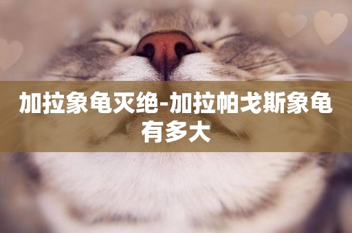 加拉象龜滅絕-加拉帕戈斯象龜有多大