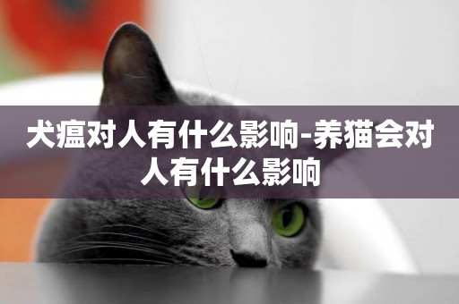 犬瘟對人有什么影響-養貓會對人有什么影響