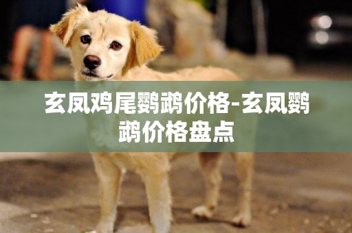 玄鳳雞尾鸚鵡價格-玄鳳鸚鵡價格盤點