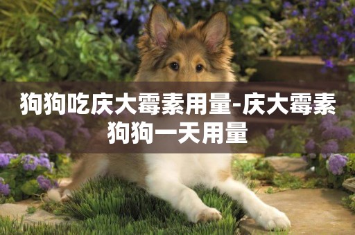 狗狗吃慶大霉素用量-慶大霉素狗狗一天用量