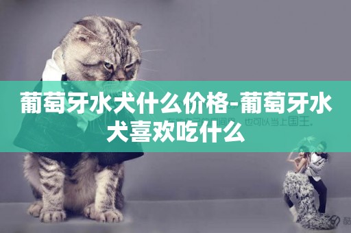 葡萄牙水犬什么價格-葡萄牙水犬喜歡吃什么