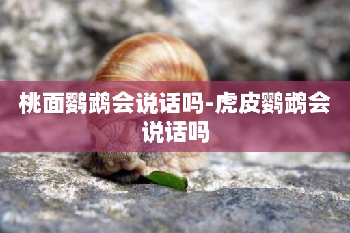 桃面鸚鵡會說話嗎-虎皮鸚鵡會說話嗎