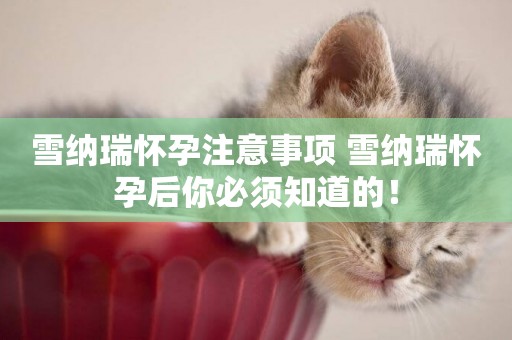 雪納瑞懷孕注意事項 雪納瑞懷孕后你必須知道的！