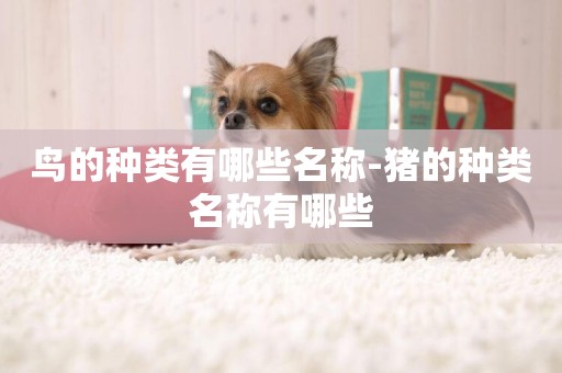 鳥的種類有哪些名稱-豬的種類名稱有哪些