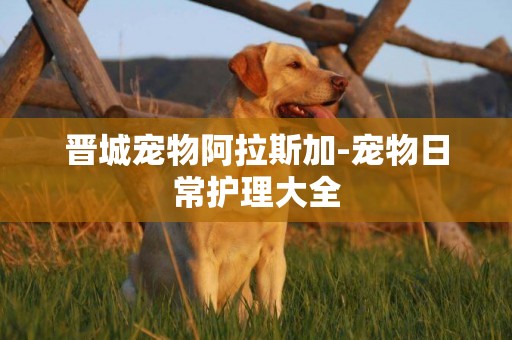 晉城寵物阿拉斯加-寵物日常護理大全