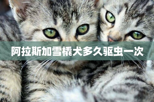 阿拉斯加雪橇犬多久驅蟲一次