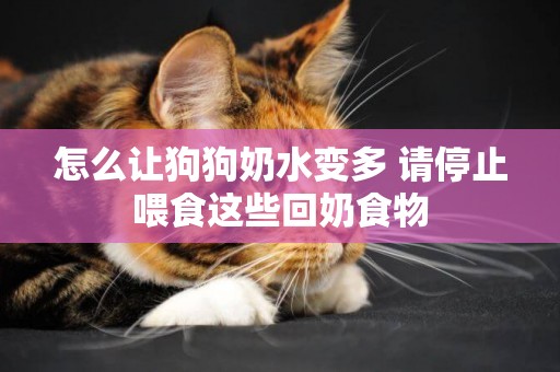 怎么讓狗狗奶水變多 請停止喂食這些回奶食物