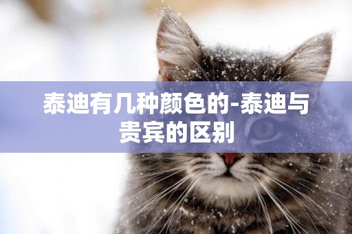 泰迪有幾種顏色的-泰迪與貴賓的區別