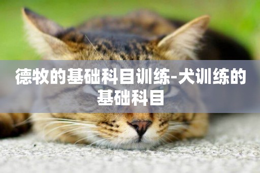德牧的基礎科目訓練-犬訓練的基礎科目