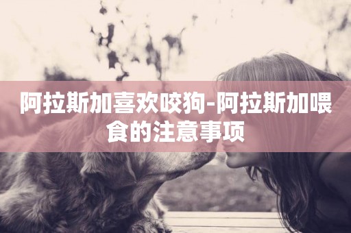 阿拉斯加喜歡咬狗-阿拉斯加喂食的注意事項