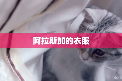 阿拉斯加的衣服