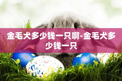 金毛犬多少錢一只啊-金毛犬多少錢一只