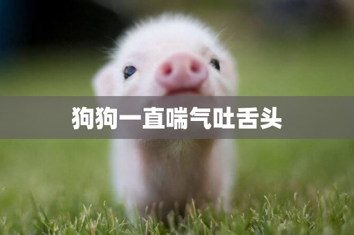 狗狗一直喘氣吐舌頭