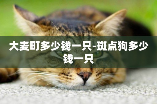 大麥町多少錢一只-斑點狗多少錢一只