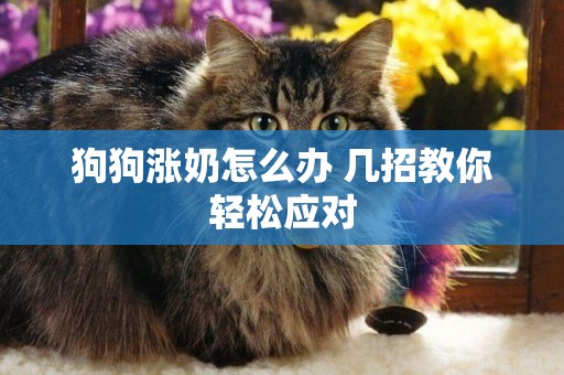 狗狗漲奶怎么辦 幾招教你輕松應對