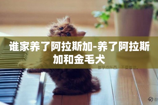 誰家養了阿拉斯加-養了阿拉斯加和金毛犬