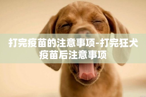 打完疫苗的注意事項-打完狂犬疫苗后注意事項