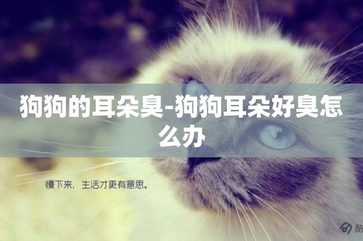 狗狗的耳朵臭-狗狗耳朵好臭怎么辦