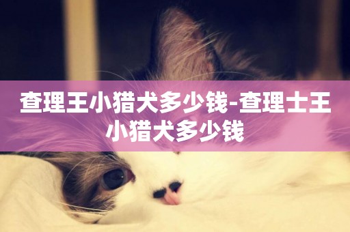 查理王小獵犬多少錢-查理士王小獵犬多少錢