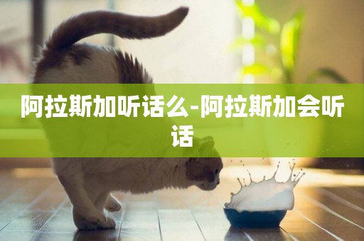 阿拉斯加聽話么-阿拉斯加會聽話