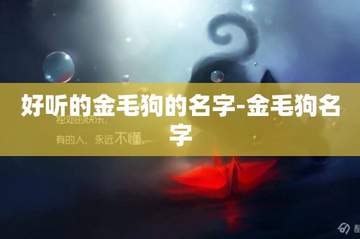 好聽的金毛狗的名字-金毛狗名字