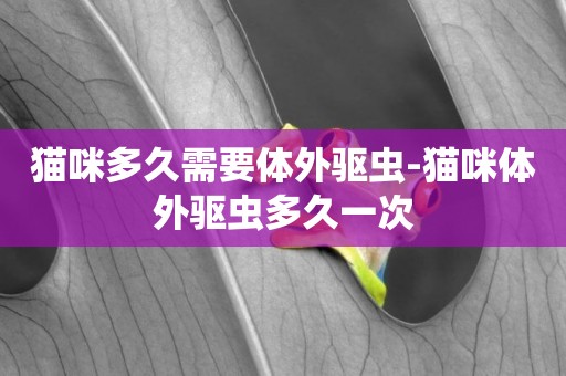 貓咪多久需要體外驅蟲-貓咪體外驅蟲多久一次