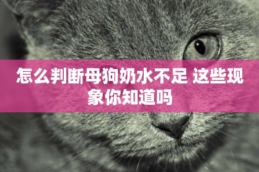 怎么判斷母狗奶水不足 這些現象你知道嗎