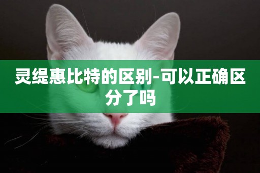 靈緹惠比特的區別-可以正確區分了嗎