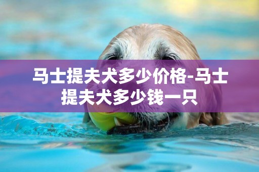 馬士提夫犬多少價格-馬士提夫犬多少錢一只