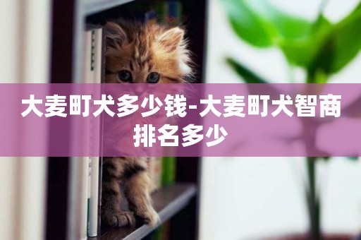 大麥町犬多少錢-大麥町犬智商排名多少