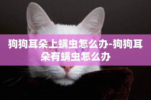 狗狗耳朵上螨蟲怎么辦-狗狗耳朵有螨蟲怎么辦