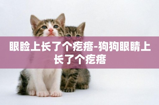 眼瞼上長了個疙瘩-狗狗眼睛上長了個疙瘩