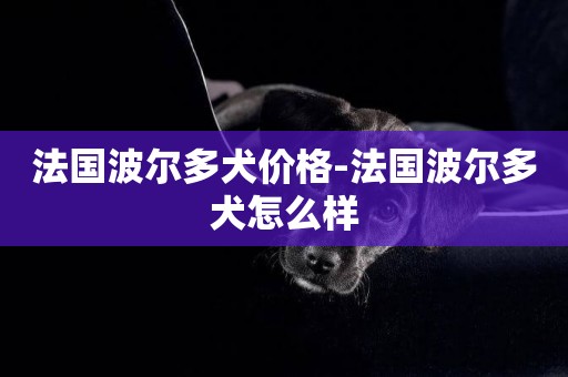 法國波爾多犬價格-法國波爾多犬怎么樣
