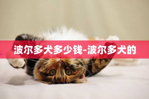 波爾多犬多少錢-波爾多犬的