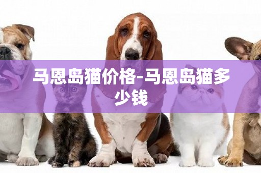 馬恩島貓價格-馬恩島貓多少錢