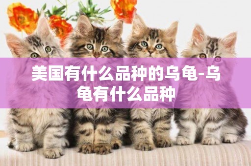 美國有什么品種的烏龜-烏龜有什么品種