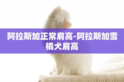 阿拉斯加正常肩高-阿拉斯加雪橇犬肩高