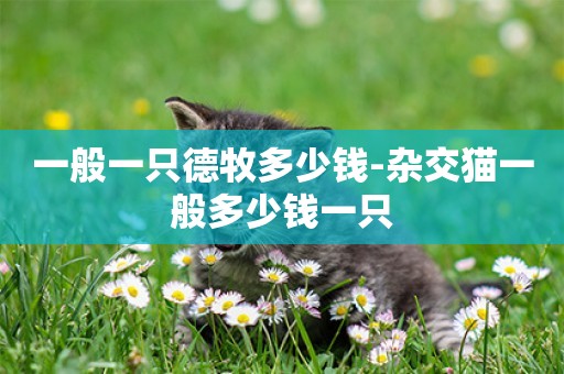 一般一只德牧多少錢-雜交貓一般多少錢一只
