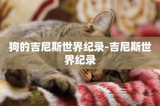 狗的吉尼斯世界紀錄-吉尼斯世界紀錄