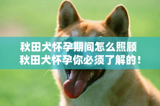 秋田犬懷孕期間怎么照顧 秋田犬懷孕你必須了解的！