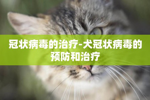 冠狀病毒的治療-犬冠狀病毒的預防和治療