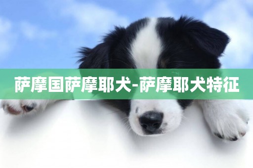 薩摩國薩摩耶犬-薩摩耶犬特征