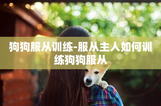 狗狗服從訓練-服從主人如何訓練狗狗服從
