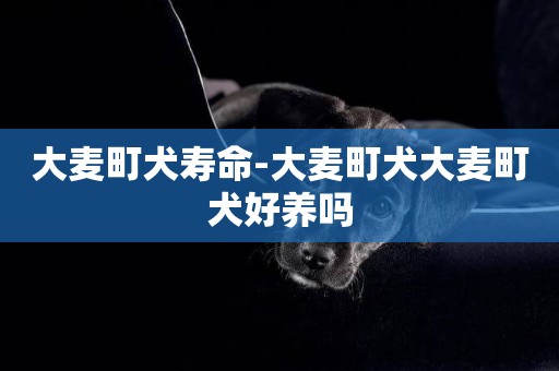 大麥町犬壽命-大麥町犬大麥町犬好養嗎
