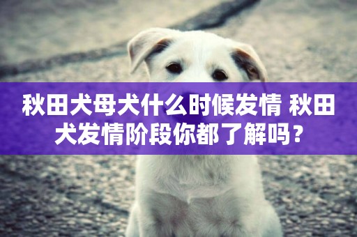 秋田犬母犬什么時候發情 秋田犬發情階段你都了解嗎？